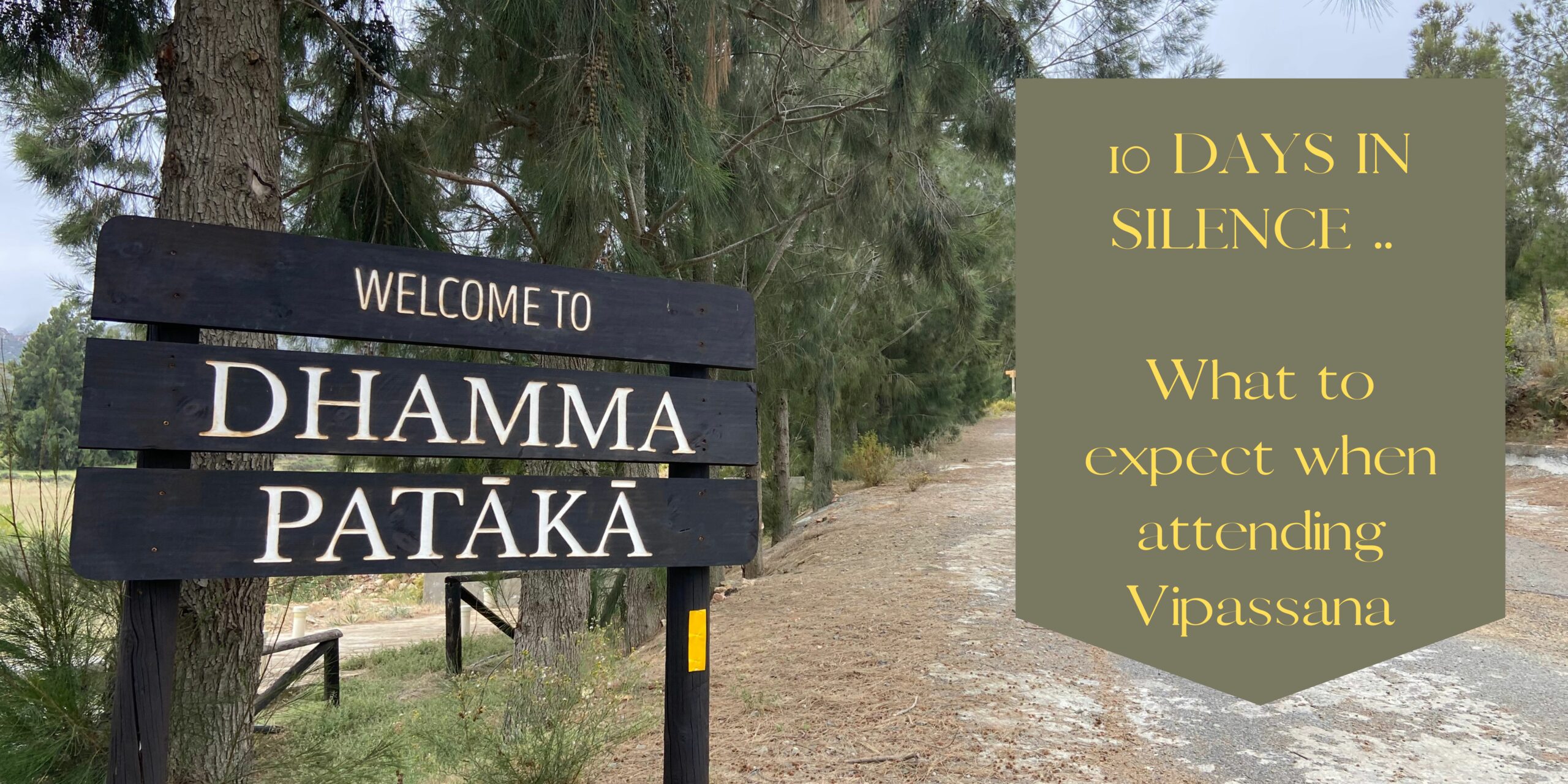 10 DAYS IN SILENCE .. What to expect when attending Vipassana